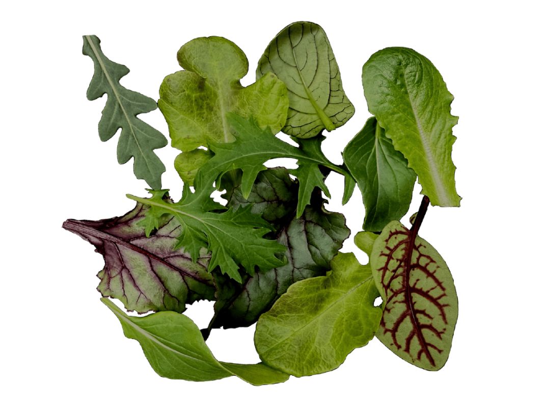 ������ �����-����� �������� ���������������� �����?