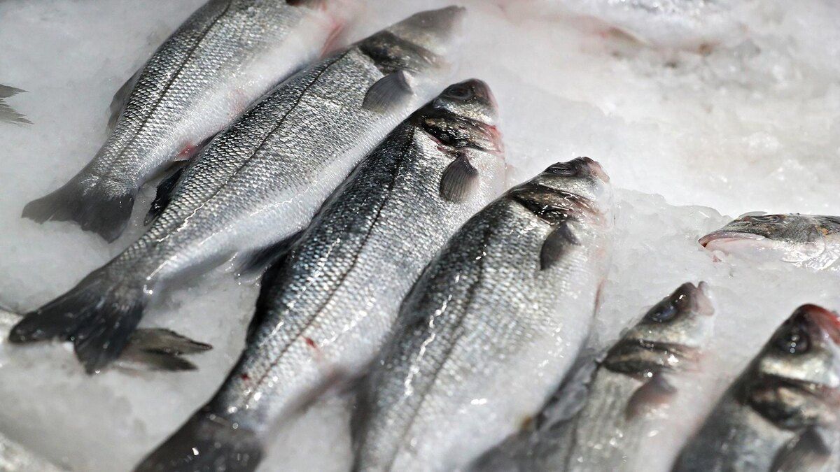 ��� �� ��������� �� ������ ��������� ��������� ����