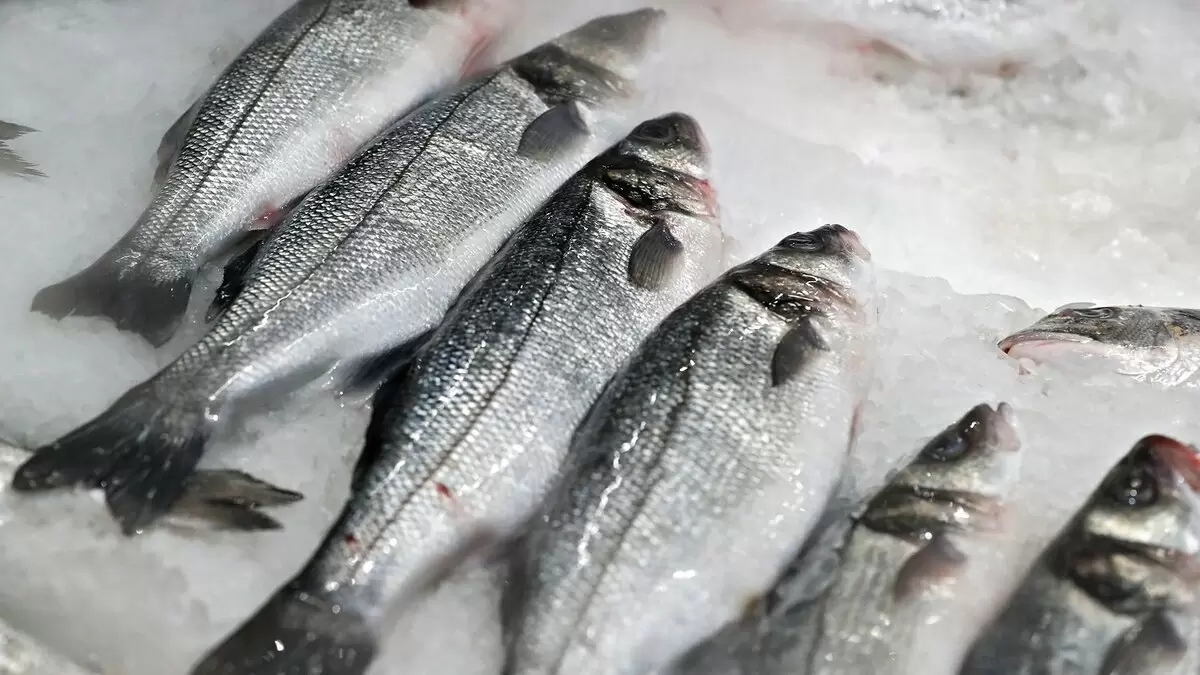 Как не попасться на удочку нечестных продавцов рыбы