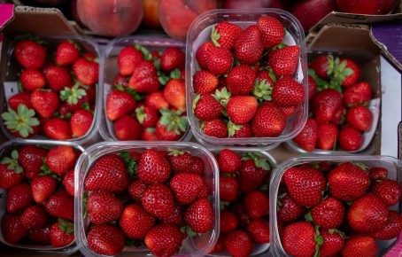 ������ ��������� ������: ������������ ������ ������ ���������