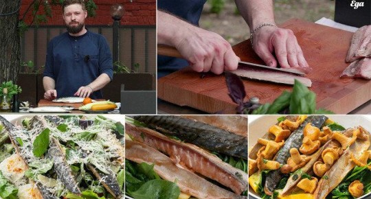 ��� ������ �������� �� �������