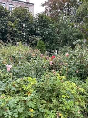 ����� ����, ����� �����������: ����� � �������� � ����� ������ ������