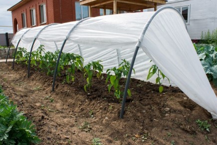 ��� �������� ��������� ����� �������� ��� ���: ������� ������ ��� �����������