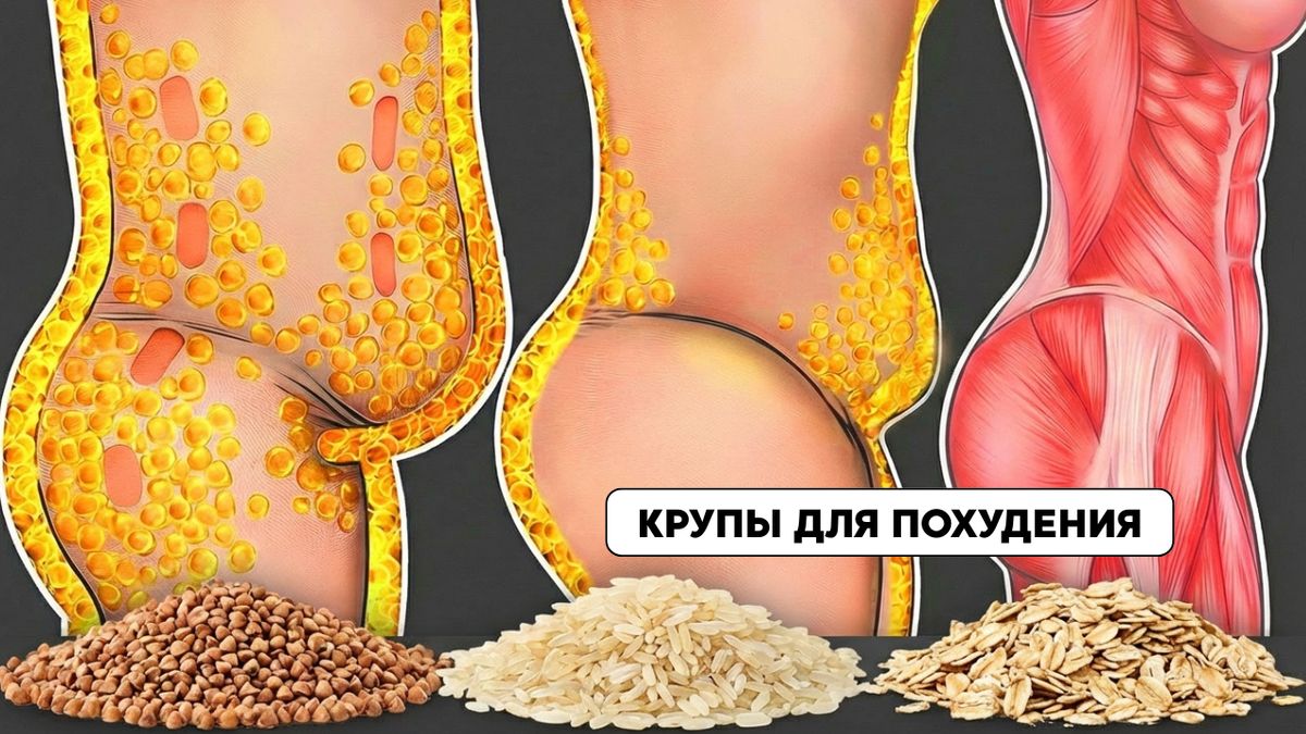 Как углеводы могут стать союзником в борьбе с лишним весом