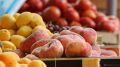 Секреты хранения овощей и фруктов: советы экспертов из Пироговского Университета
