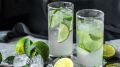 Fresh Bar представил новый летний вкус мохито — Mojito Lime